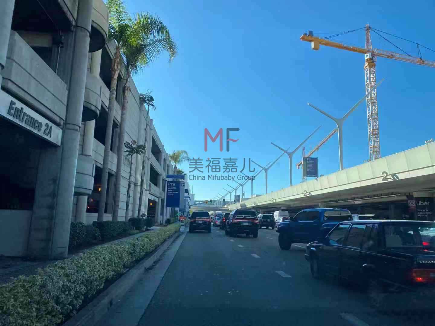 赴美生子的常見問題