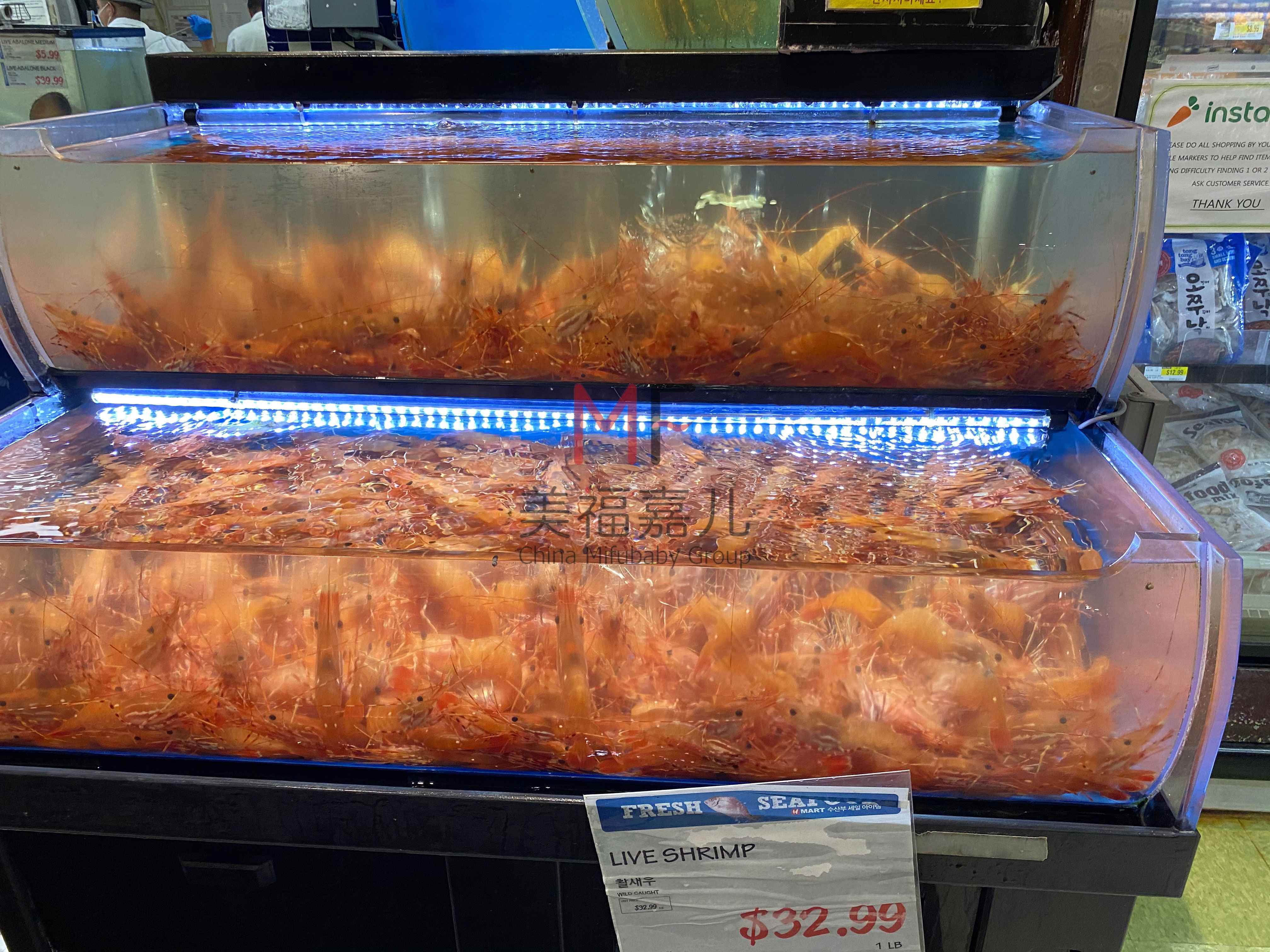 去美國生寶寶買什么保險(xiǎn)對(duì)自己好