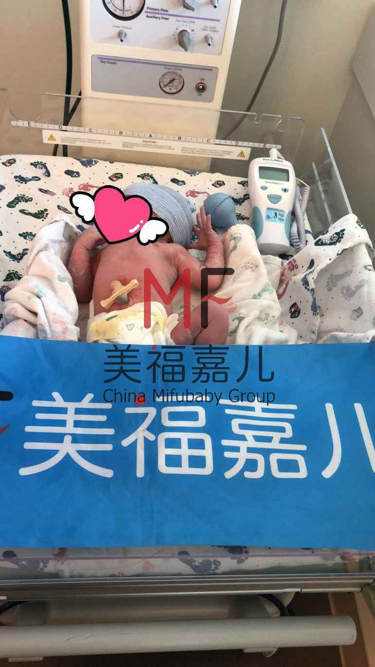 赴美生子?jì)屵浔乜?六個(gè)隱藏的家庭危險(xiǎn)