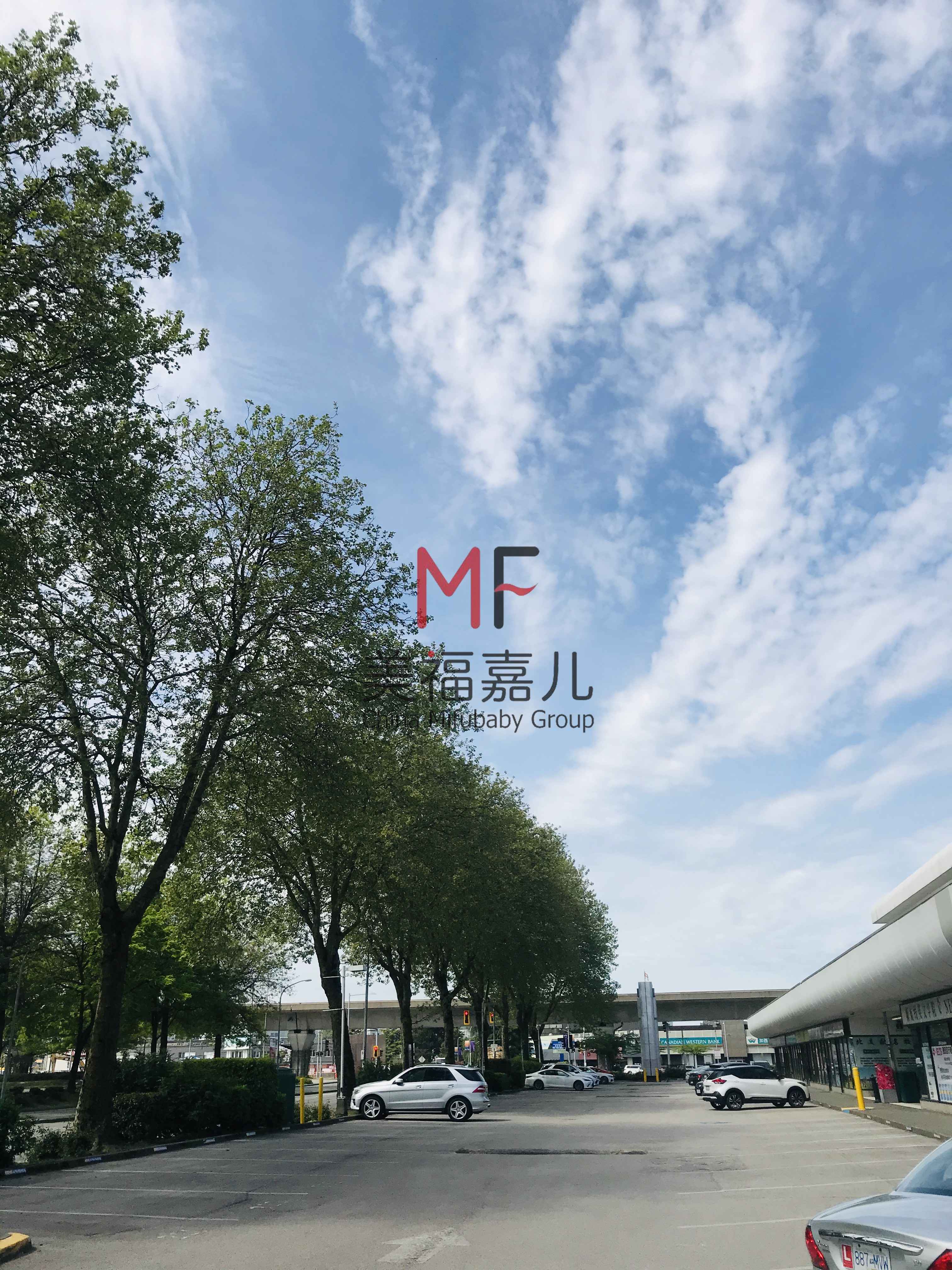 赴美生子過海關(guān)，帶多少錢合適？