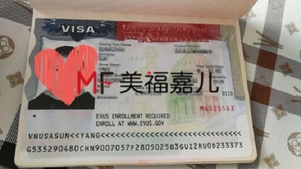 赴美生子簽證申請