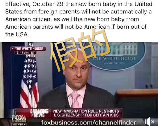 10月29日美國落地生子政策