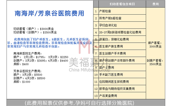 赴美生子費用